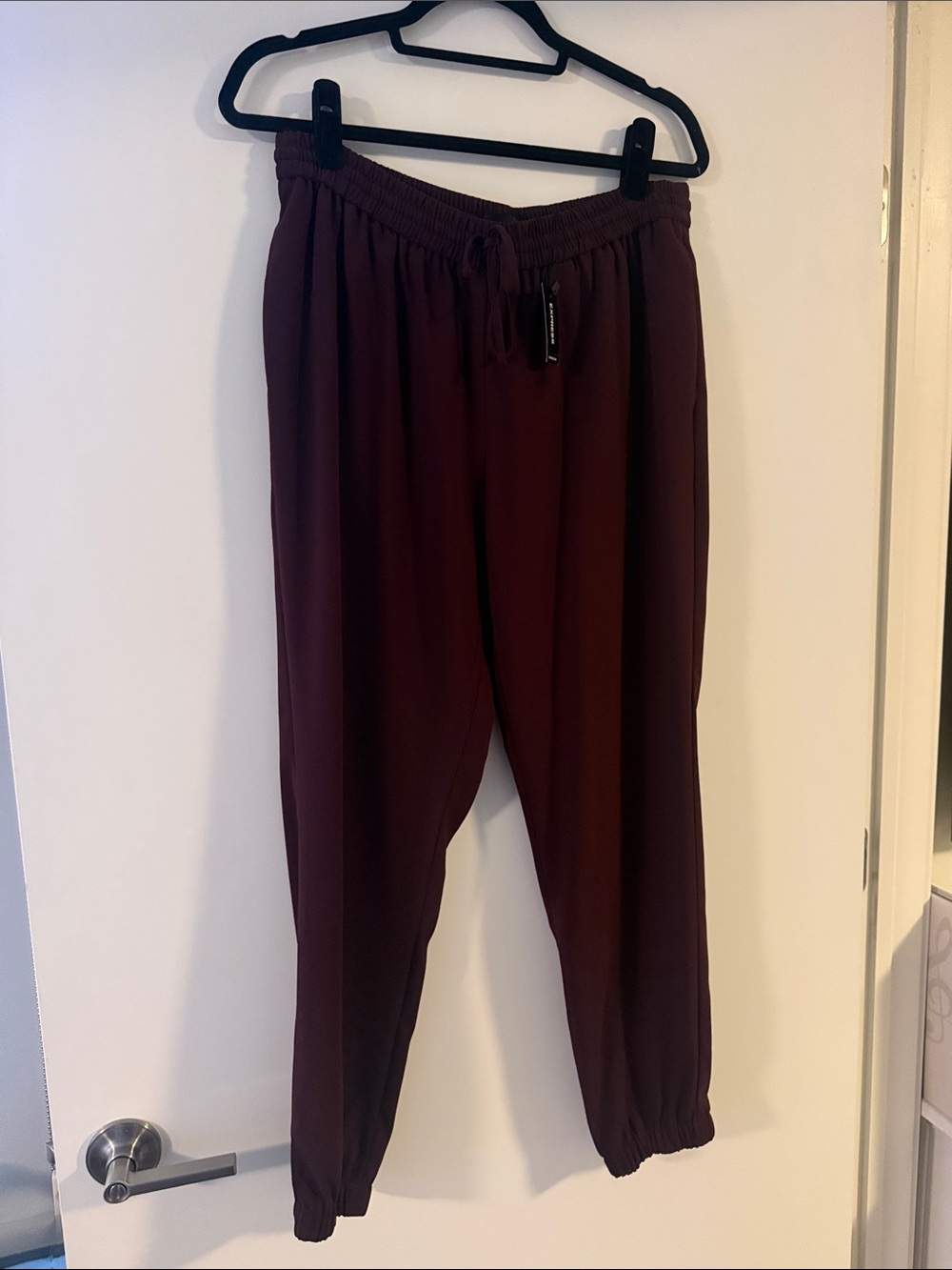 NWT Express burgundy jogger